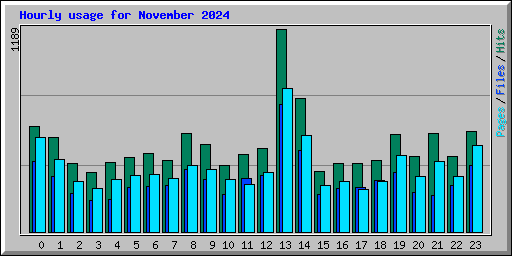 Hourly usage for November 2024