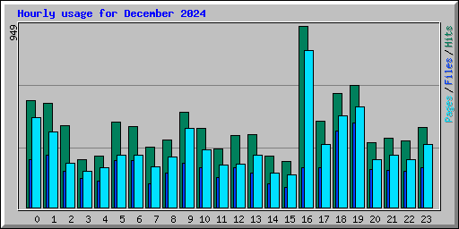 Hourly usage for December 2024