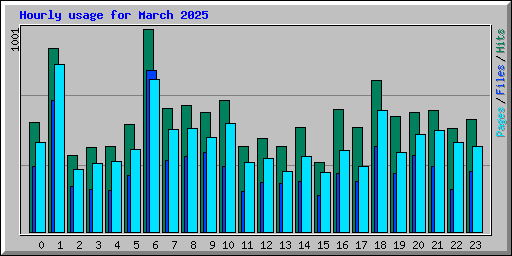 Hourly usage for March 2025