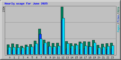 Hourly usage for June 2025