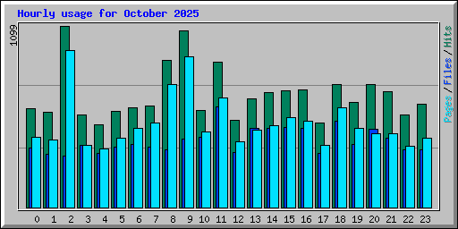 Hourly usage for October 2025