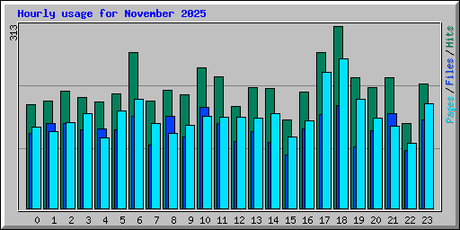 Hourly usage for November 2025