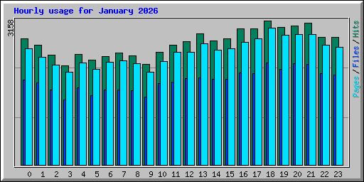 Hourly usage for January 2026