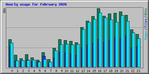 Hourly usage for February 2026