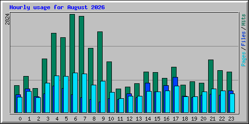 Hourly usage for August 2026